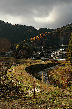 20081130_k583_thumb.jpg