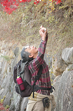 20081130_k610_thumb.jpg
