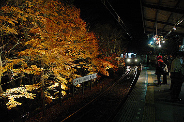 20081130_k730_thumb.jpg