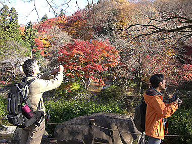 20081130_s742_thumb.jpg