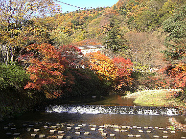 20081130_s745_thumb.jpg