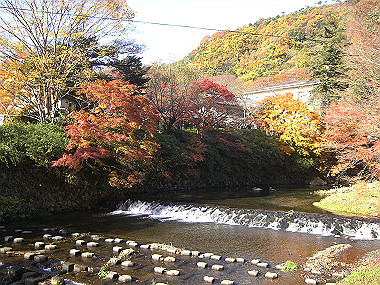 20081130_s746_thumb.jpg
