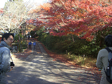 20081130_s747_thumb.jpg