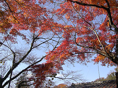20081130_s749_thumb.jpg