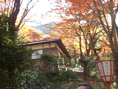 20081130_s750_thumb.jpg