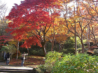 20081130_s752_thumb.jpg
