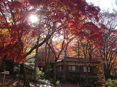 20081130_s753_thumb.jpg