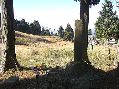 20081130_s768_thumb.jpg