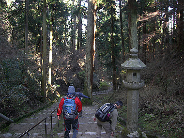 20081130_s776_thumb.jpg