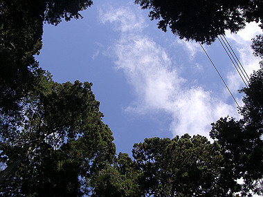 20081130_s777_thumb.jpg