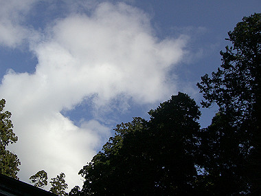 20081130_s779_thumb.jpg