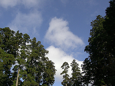 20081130_s785_thumb.jpg