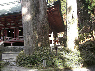 20081130_s793_thumb.jpg