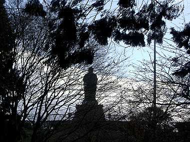 20081130_s805_thumb.jpg