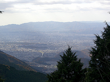 20081130_s806_thumb.jpg