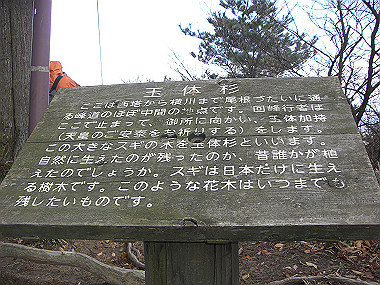 20081130_s807_thumb.jpg