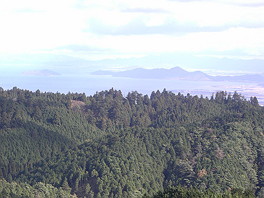 20081130_s810_thumb.jpg