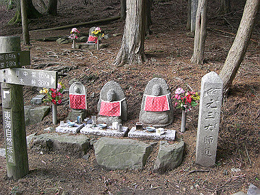 20081130_s814_thumb.jpg