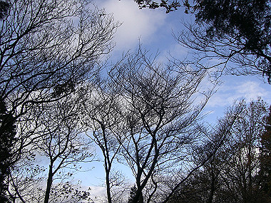 20081130_s817_thumb.jpg