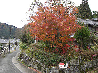 20081130_s820_thumb.jpg