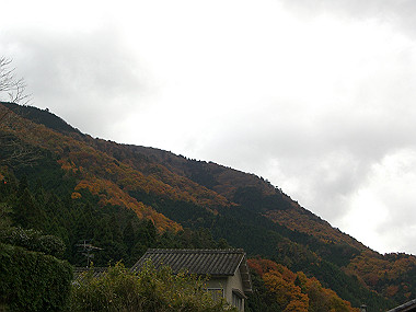 20081130_s821_thumb.jpg