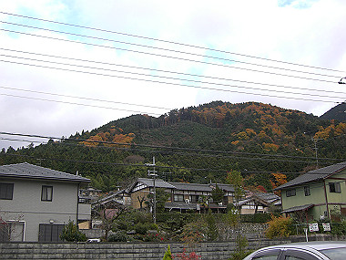 20081130_s824_thumb.jpg