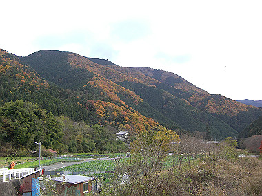 20081130_s826_thumb.jpg