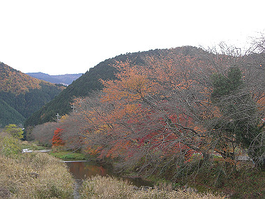 20081130_s827_thumb.jpg