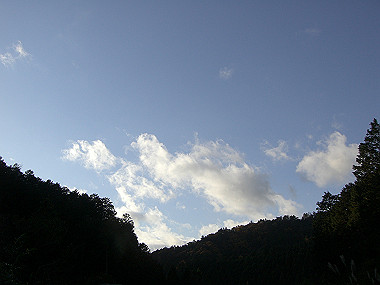20081130_s835_thumb.jpg
