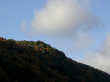 20081130_s838_thumb.jpg