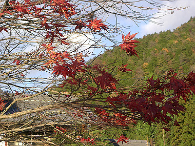 20081130_s840_thumb.jpg