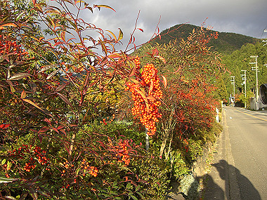 20081130_s844_thumb.jpg