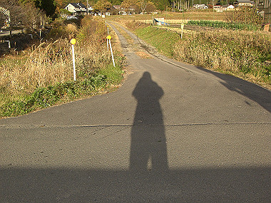 20081130_s852_thumb.jpg
