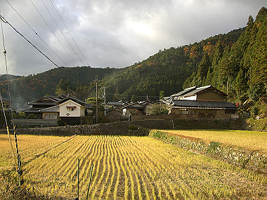20081130_s854_thumb.jpg