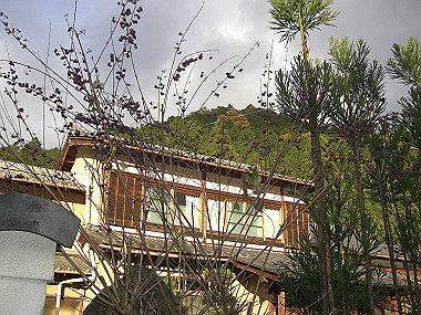 20081130_s856_thumb.jpg