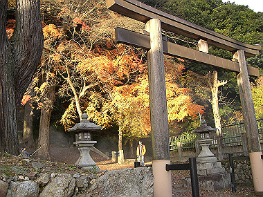 20081130_s865_thumb.jpg