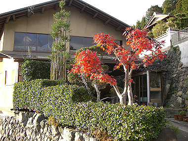20081130_s869_thumb.jpg
