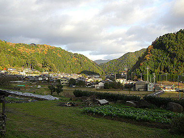 20081130_s875_thumb.jpg