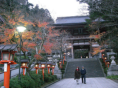 20081130_s883_thumb.jpg