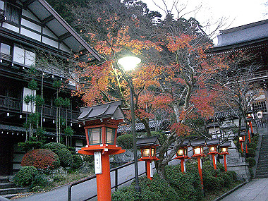 20081130_s884_thumb.jpg