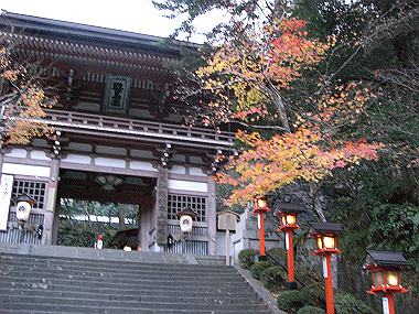 20081130_s885_thumb.jpg