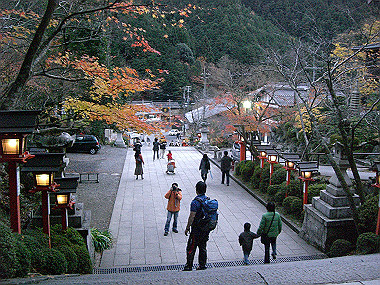 20081130_s887_thumb.jpg
