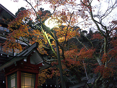 20081130_s891_thumb.jpg