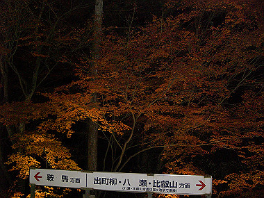 20081130_s903_thumb.jpg