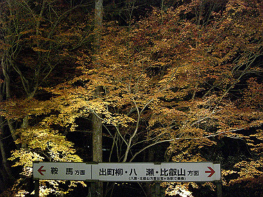 20081130_s904_thumb.jpg