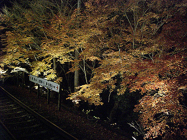 20081130_s906_thumb.jpg