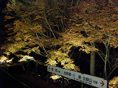 20081130_s907_thumb.jpg