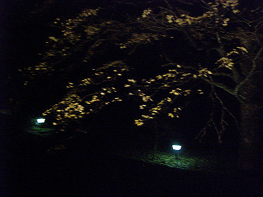 20081130_s909_thumb.jpg