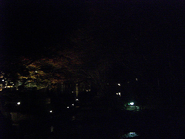 20081130_s910_thumb.jpg