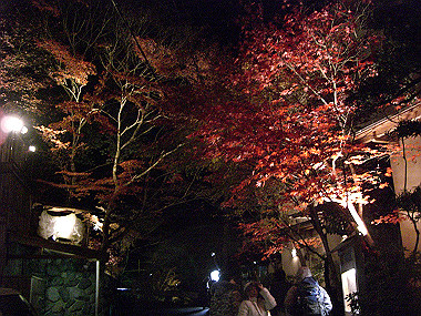 20081130_s914_thumb.jpg
